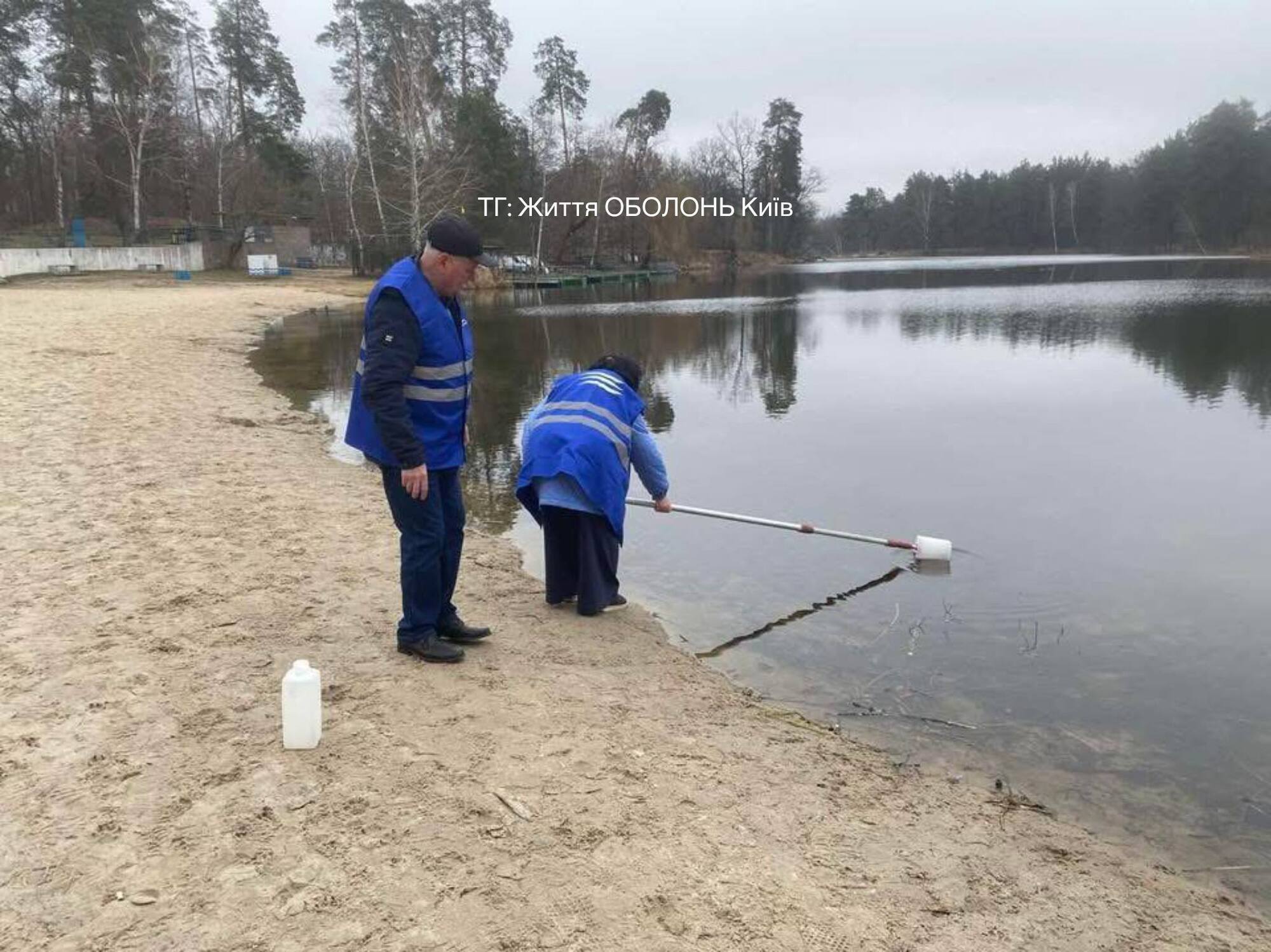 В Киеве на одном из популярных озер зафиксировали массовый мор рыбы. Подробности и фото