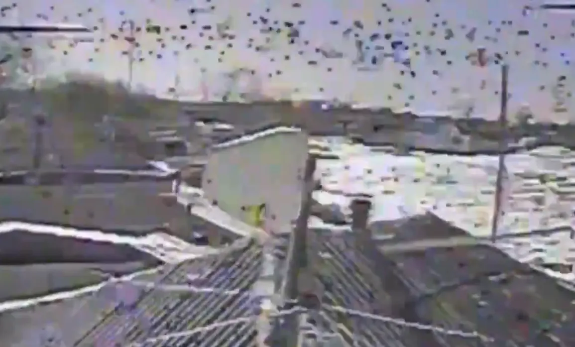 Влаштували "наліт": на Харківщині прикордонники уразили укриття, засоби зв'язку та позиції противника. Відео