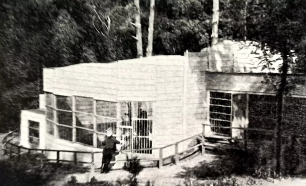 У столиці 117 років тому було засновано Київський зоопарк. Історія та фото