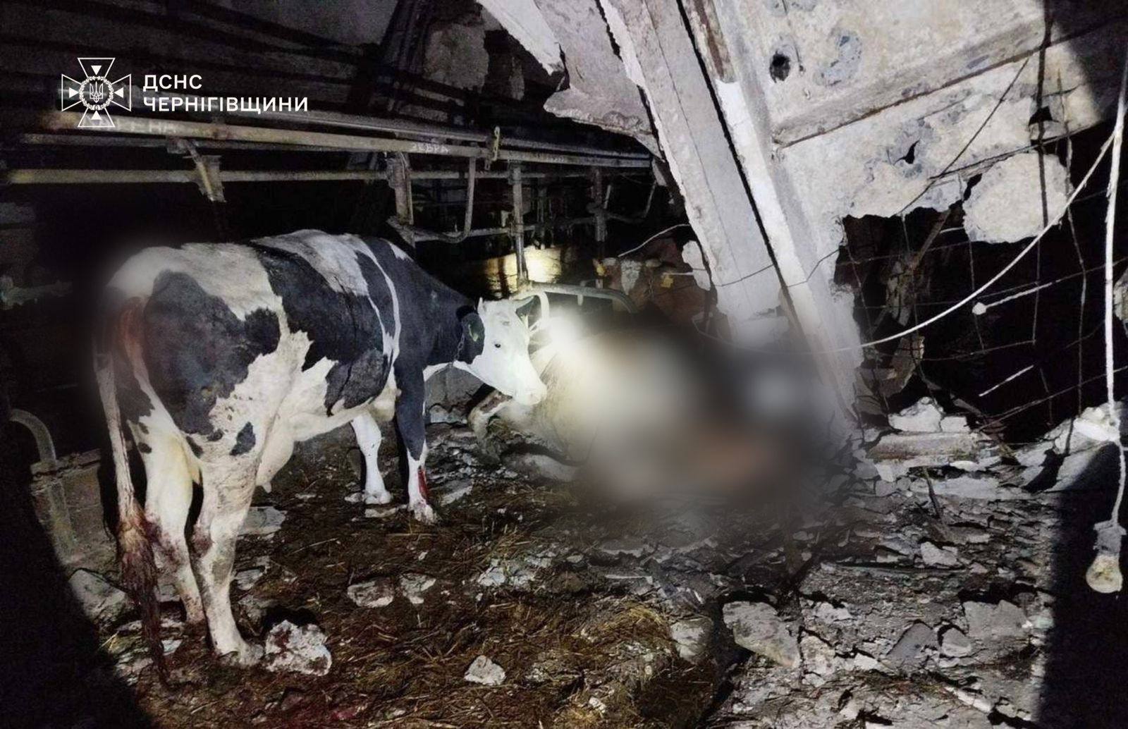 Армія РФ атакувала Україну дронами: українські воїни знешкодили 127 зі 139 ворожих БпЛА