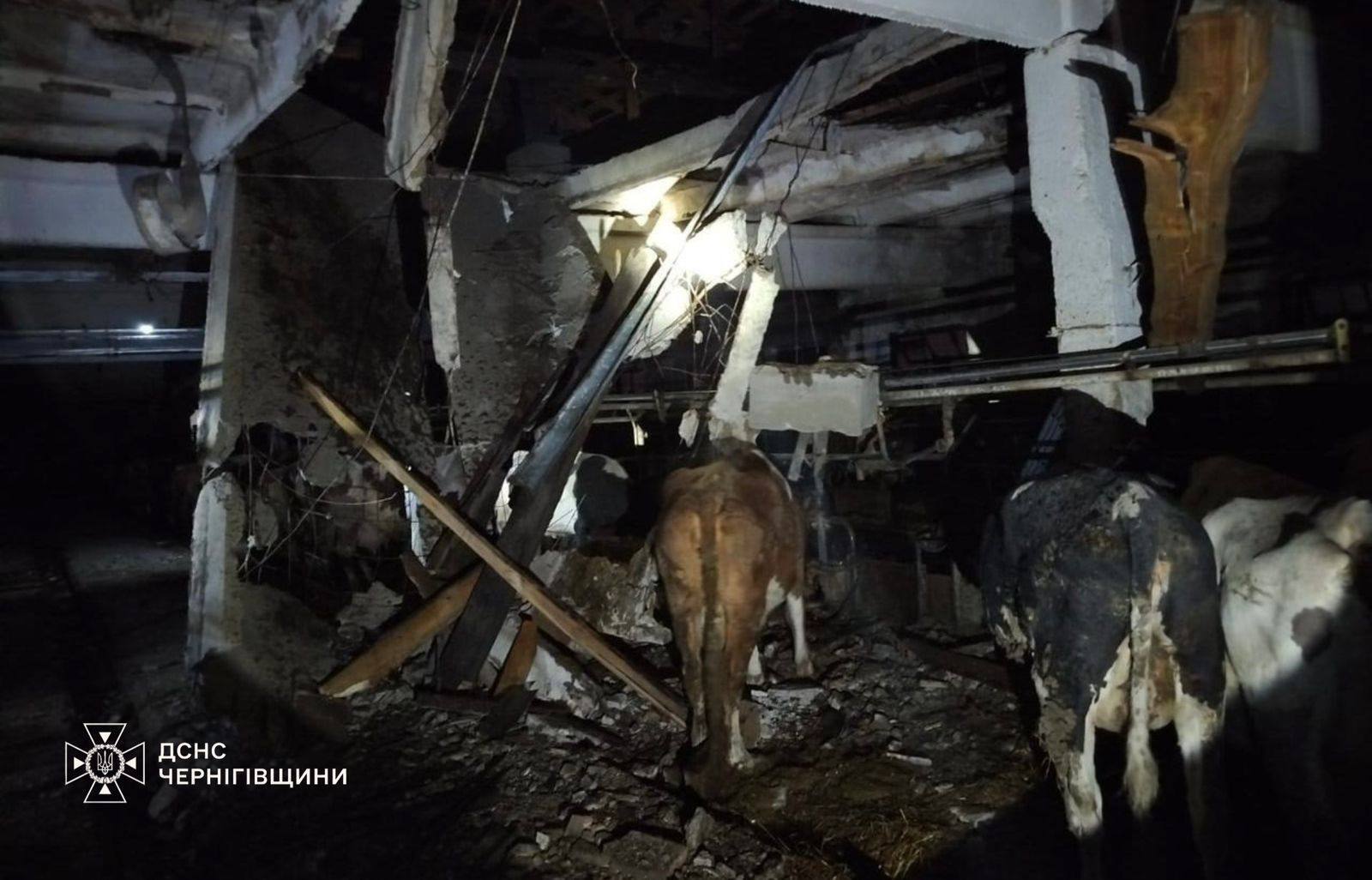 Армія РФ атакувала Україну дронами: українські воїни знешкодили 127 зі 139 ворожих БпЛА