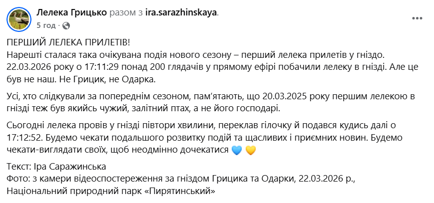 "Не наш": в гнездо известных Грицька и Одарки прилетел первый аист. Фото