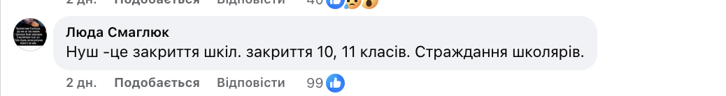 "Вы те учебники и программы видели? Это деградация учеников!" Украинцы бурно отреагировали на заявление Свириденко о НУШ