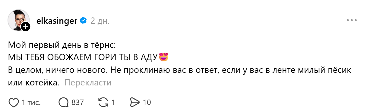 "Ви пошкодуєте, що сюди зайшли". Йолка зареєструвалася в "забороненій" соцмережі та стала мішенню для українців: як вона їм відповіла