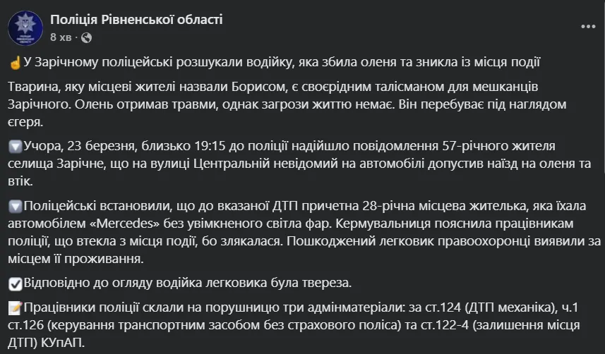 На Рівненщині авто збило оленя Бориса, який став зіркою соцмереж: тварина у важкому стані. Фото і відео