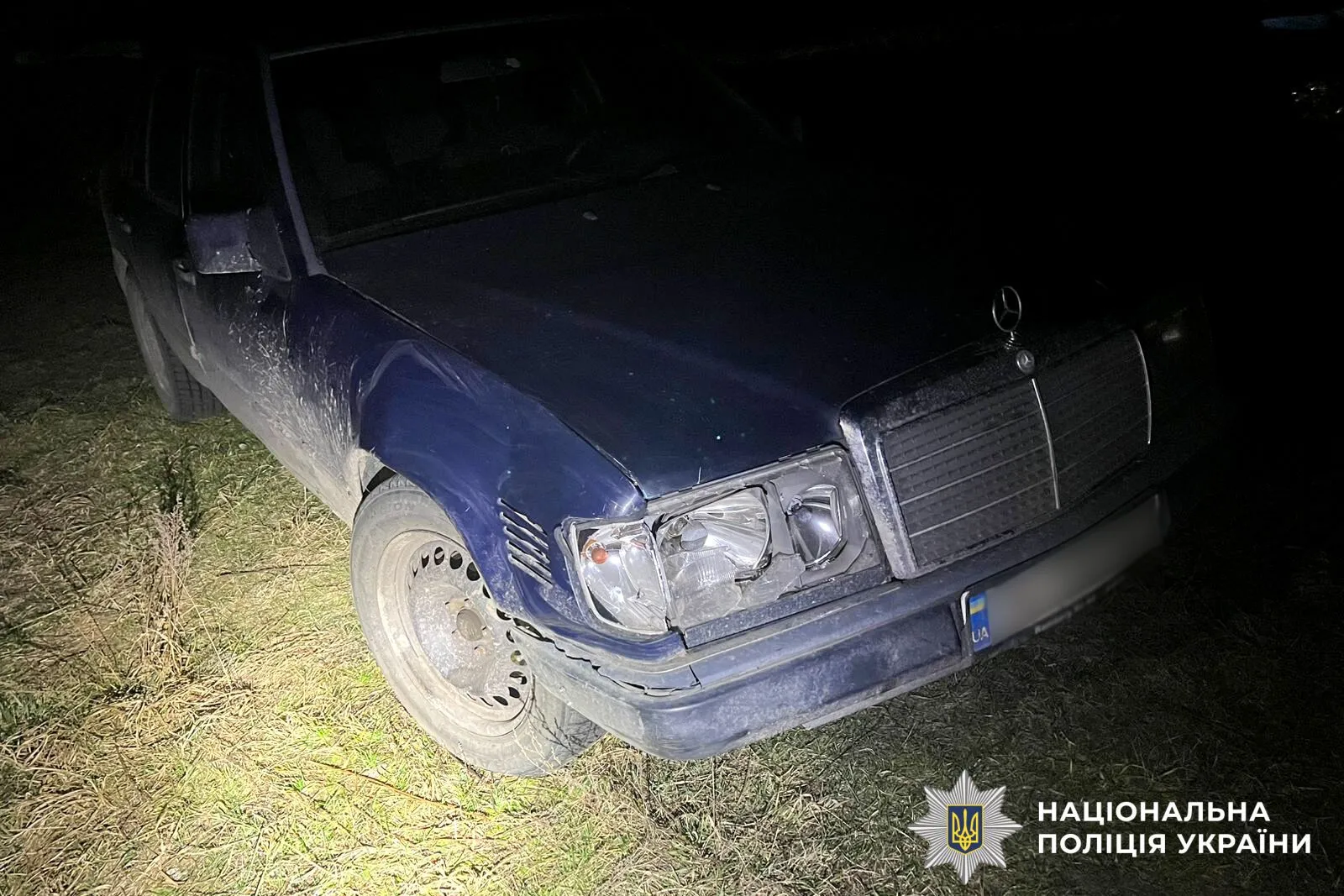 На Рівненщині авто збило оленя Бориса, який став зіркою соцмереж: тварина у важкому стані. Фото і відео