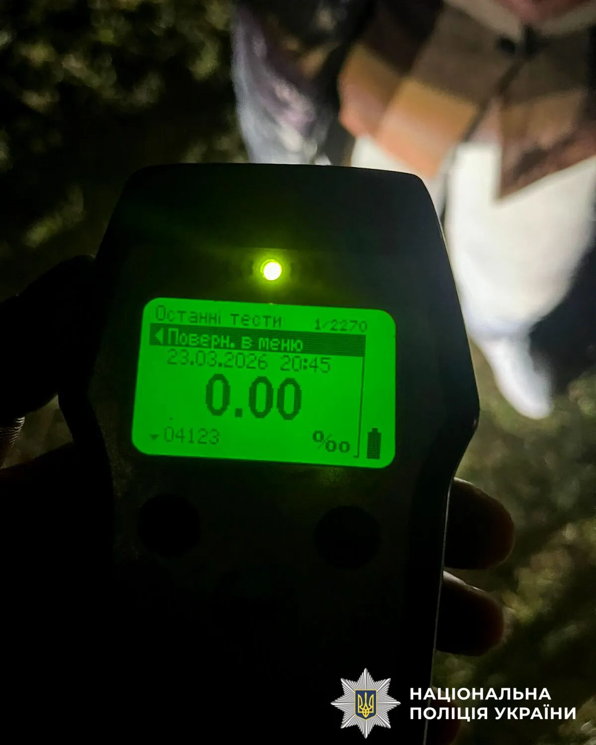 На Рівненщині авто збило оленя Бориса, який став зіркою соцмереж: тварина у важкому стані. Фото і відео