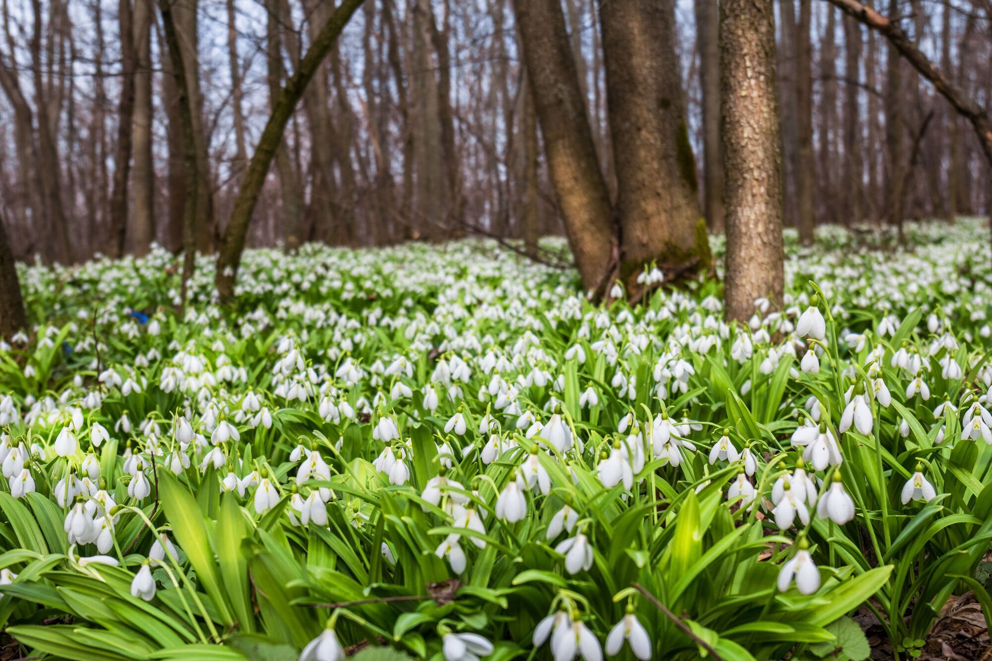 Тиск продовжуватиме падати: синоптики сказали, де в середу очікувати дощів. Карта