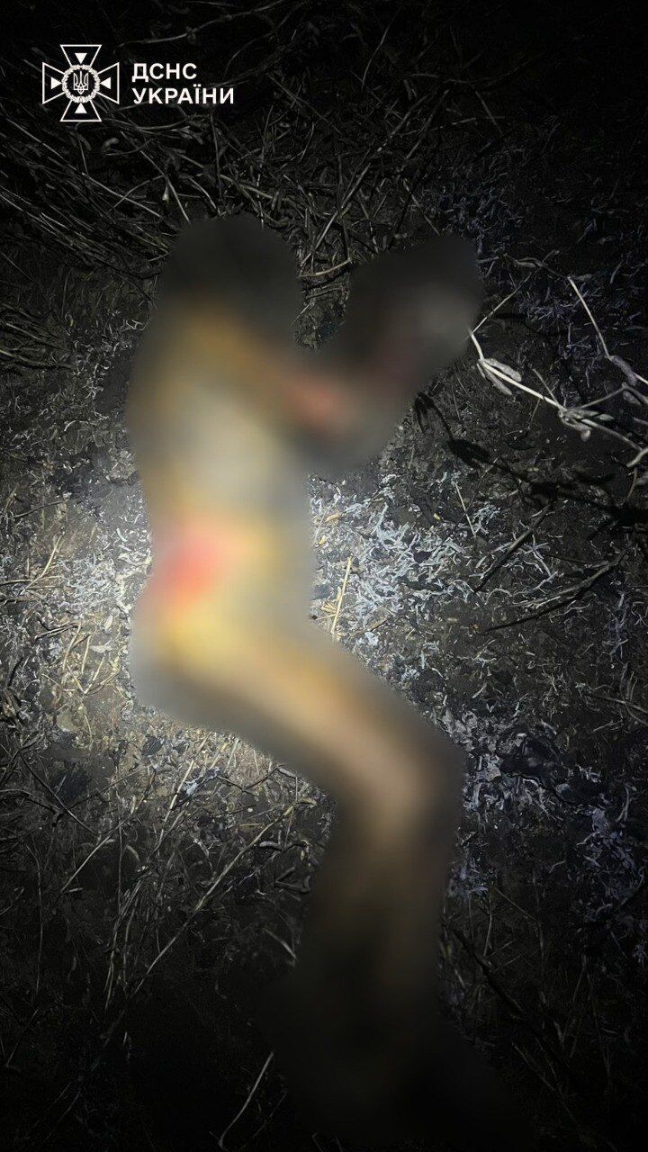 На Киевщине мужчина загорелся заживо во время сжигания травы. Подробности трагедии и фото