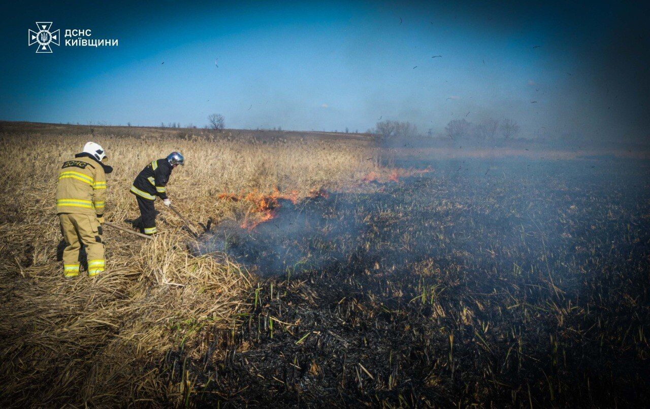 На Киевщине мужчина загорелся заживо во время сжигания травы. Подробности трагедии и фото