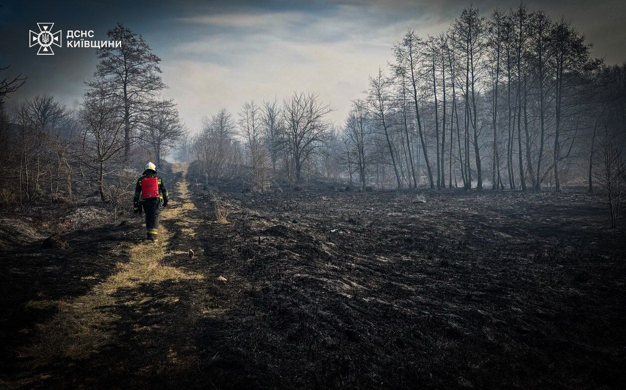 На Киевщине мужчина загорелся заживо во время сжигания травы. Подробности трагедии и фото