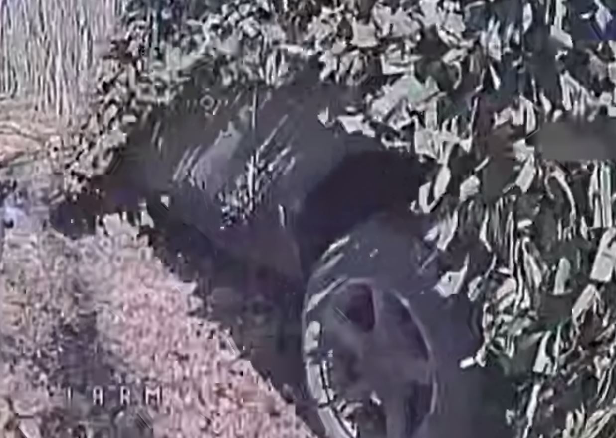 Штурм закончился, так и не начавшись: пограничники сорвали планы врага на Южно-Слобожанском направлении. Видео