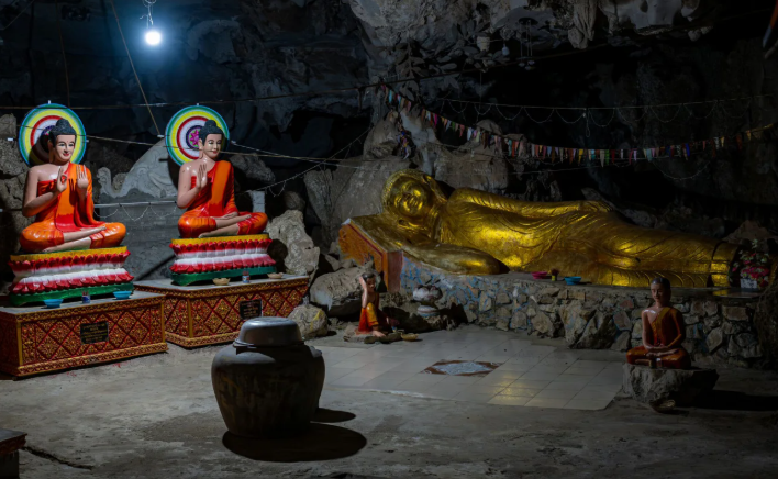 Ученые ошеломлены: в Камбодже нашли неизвестных ранее животных