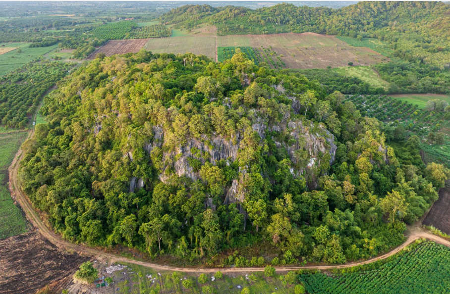 Ученые ошеломлены: в Камбодже нашли неизвестных ранее животных