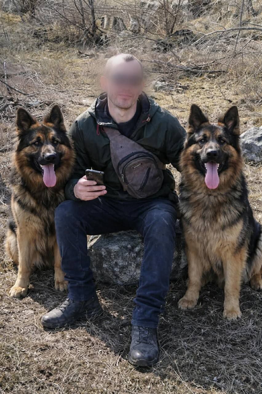 У Кривому Розі вівчарка розірвала обличчя дівчині під час стриму у ТікТок: деталі трагедії