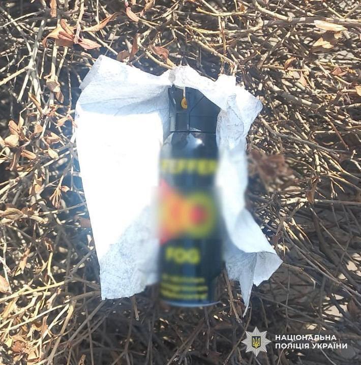 У Києві пасажир-"заєць" у вагоні метро бризнув балончиком в обличчя поліцейському. Фото