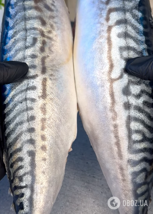 Вкусный шашлык из скумбрии для праздничного стола: делимся легким рецептом