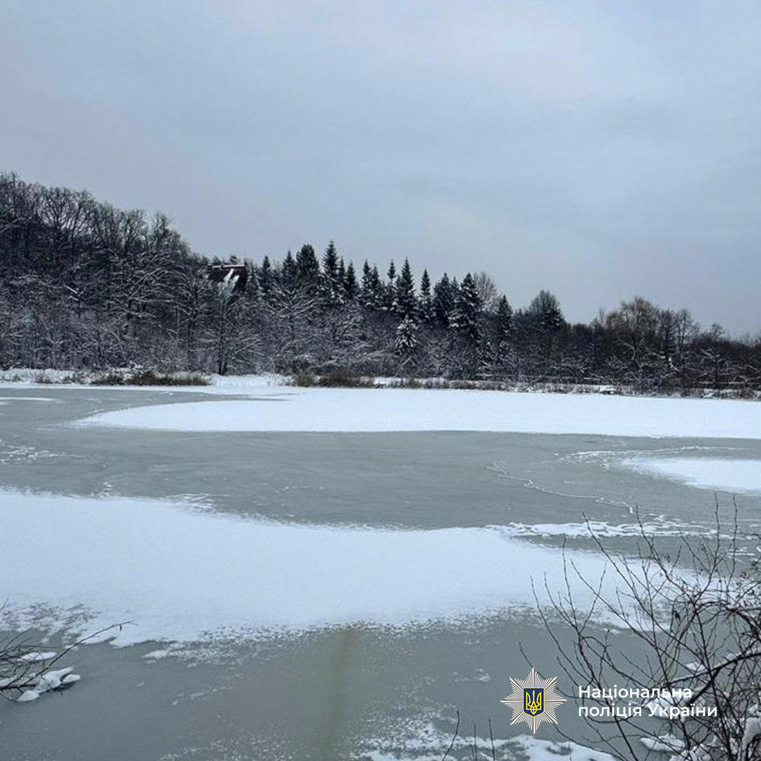 Угодья возле гостиничного комплекса.