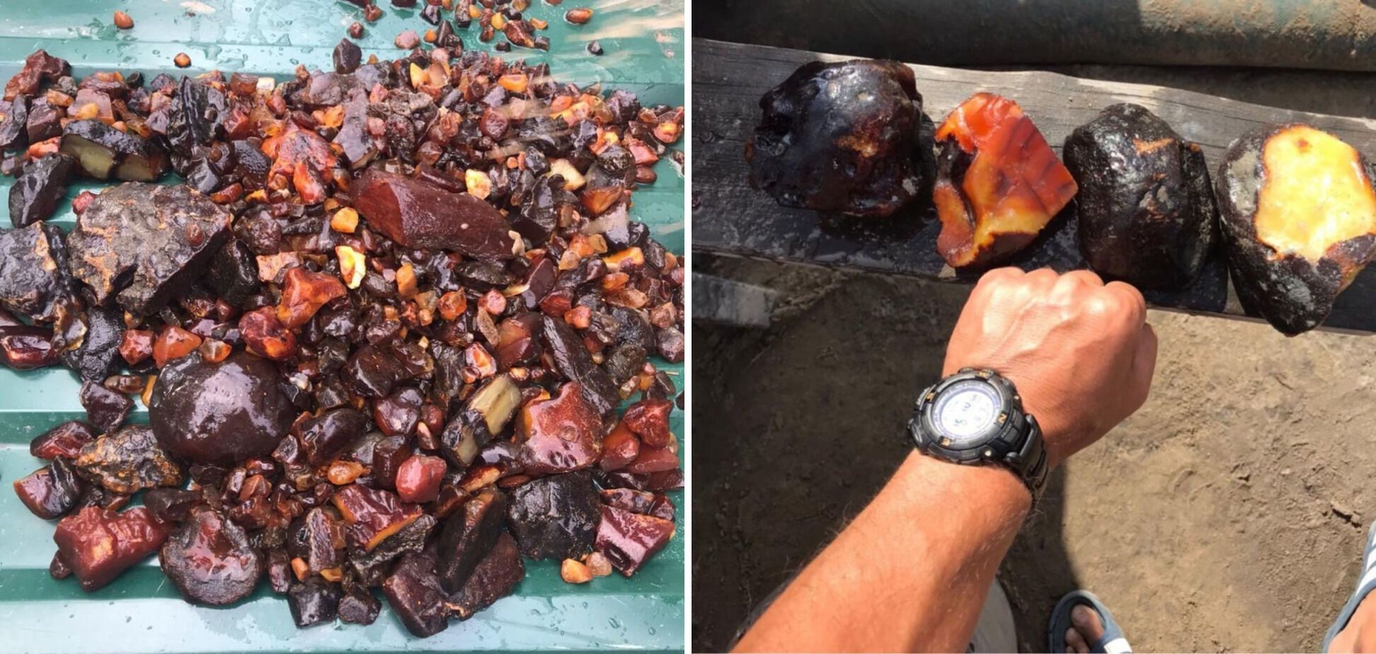 Незаконно добытый янтарь