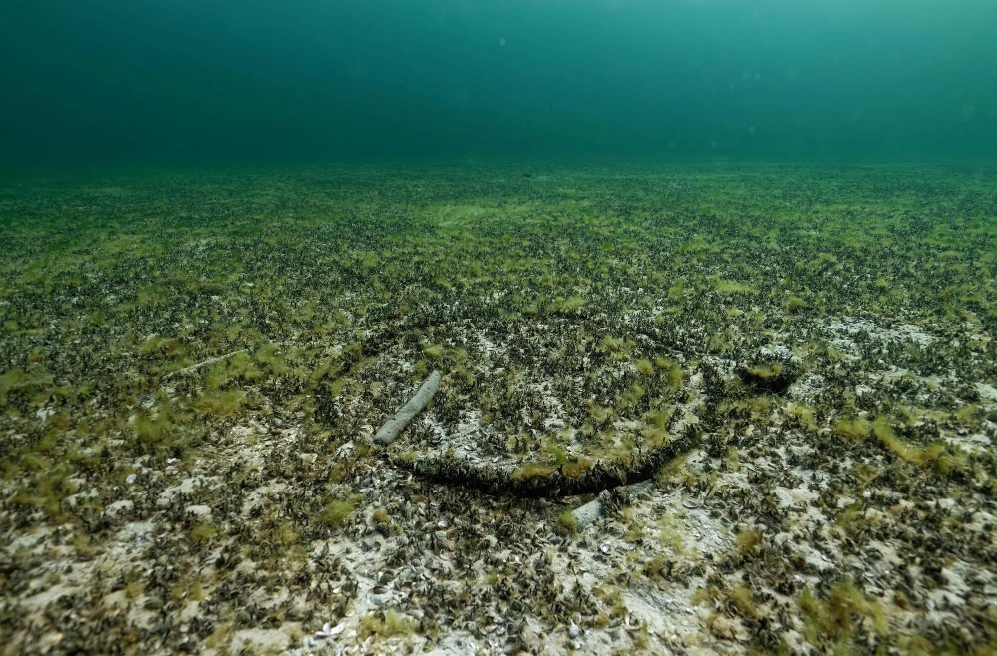 В Швейцарии в озере нашли древнеримские сокровища: масштабы впечатляют. Фото
