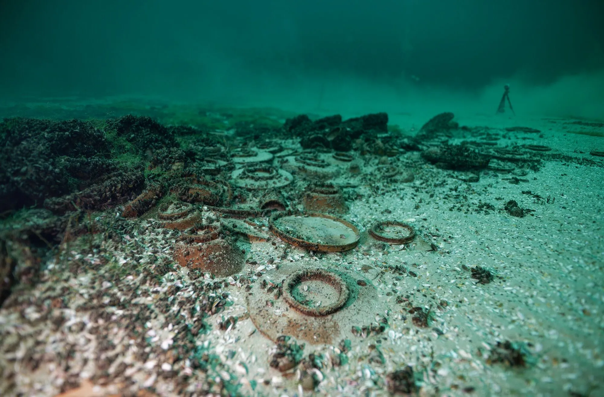 В Швейцарии в озере нашли древнеримские сокровища: масштабы впечатляют. Фото