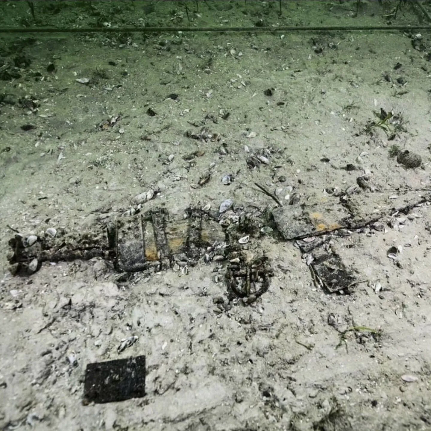 В Швейцарии в озере нашли древнеримские сокровища: масштабы впечатляют. Фото