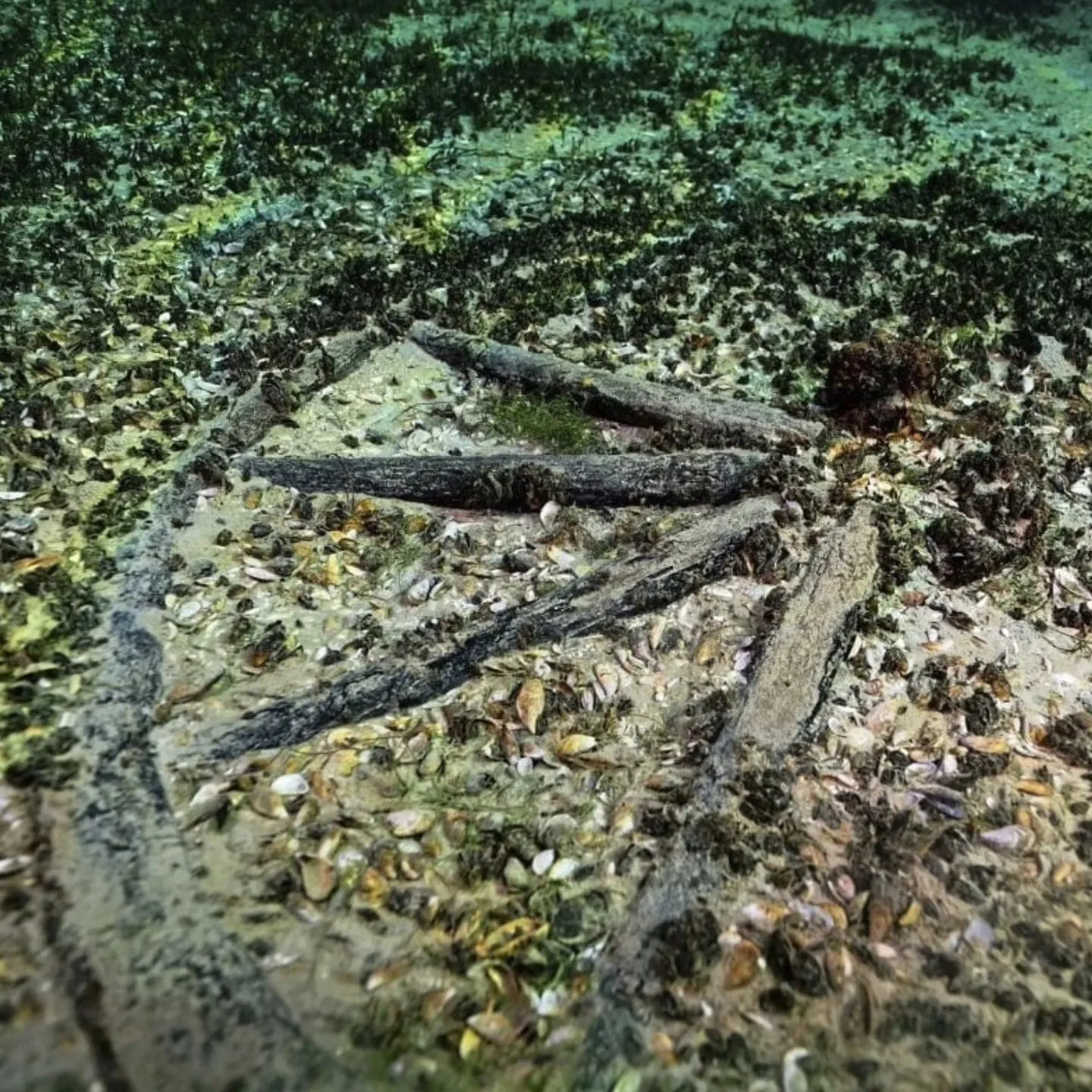 В Швейцарии в озере нашли древнеримские сокровища: масштабы впечатляют. Фото