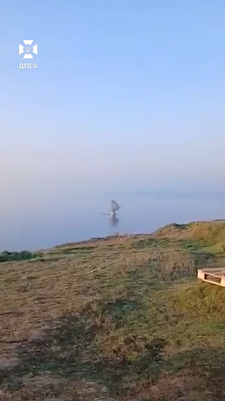 Українські прикордонники відбили чергову масовану атаку БПЛА на мирне населення: відео