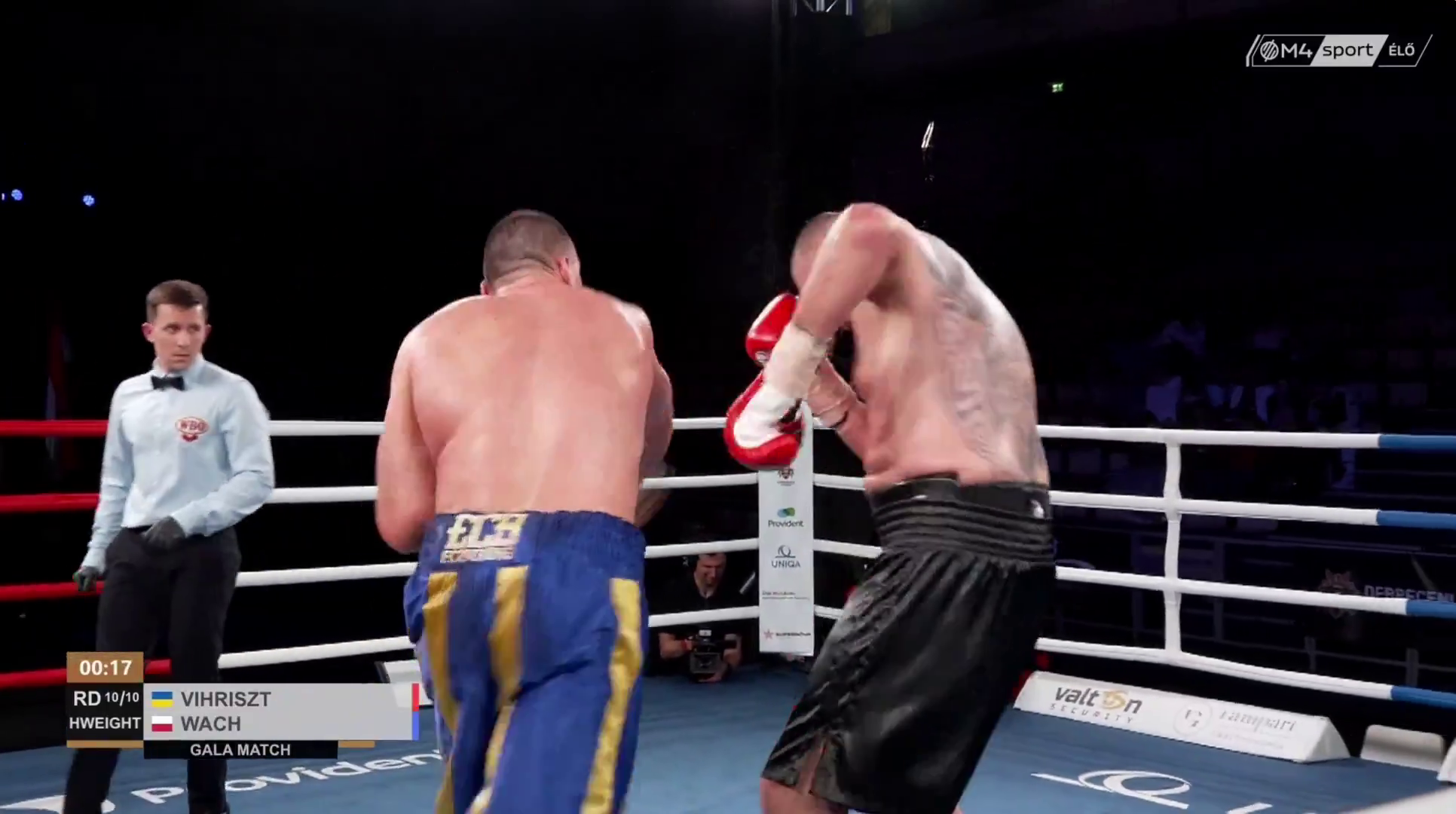 Український супертяж-чемпіон побив відомого польського боксера, який бився з Кличком. Відео