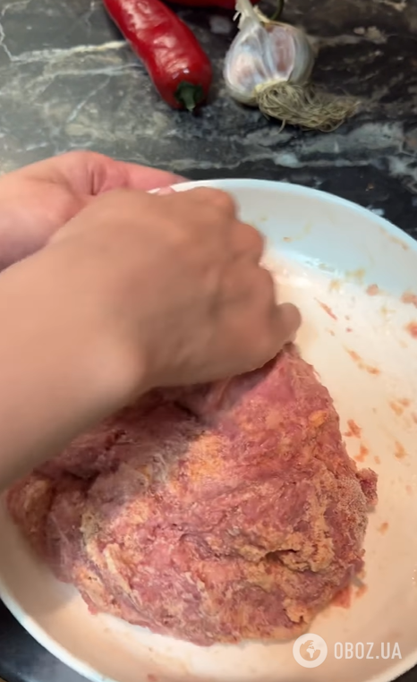 З якого м'яса приготувати нежирні котлети для дітей: можна подати з будь-яким гарніром