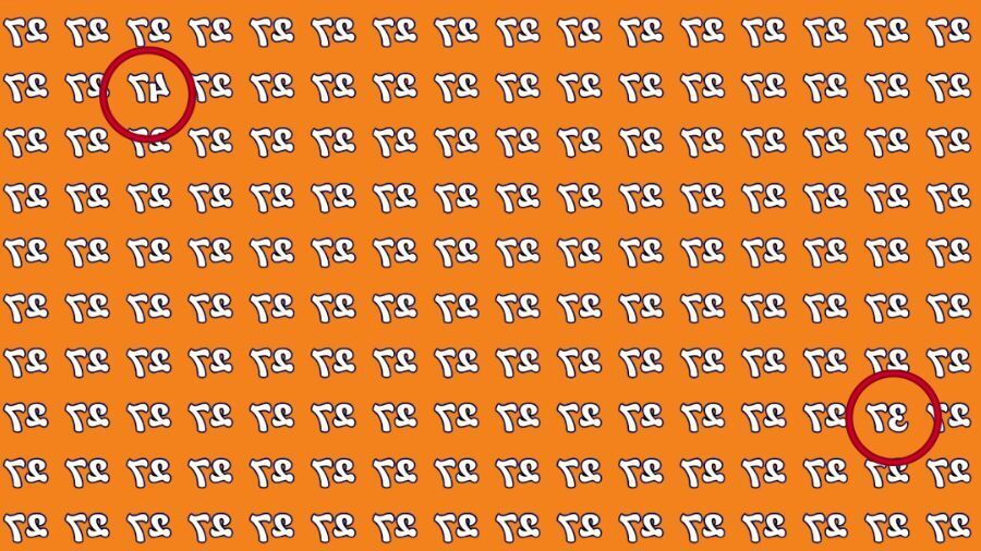 Головоломка на уважність: знайдіть відмінні числа