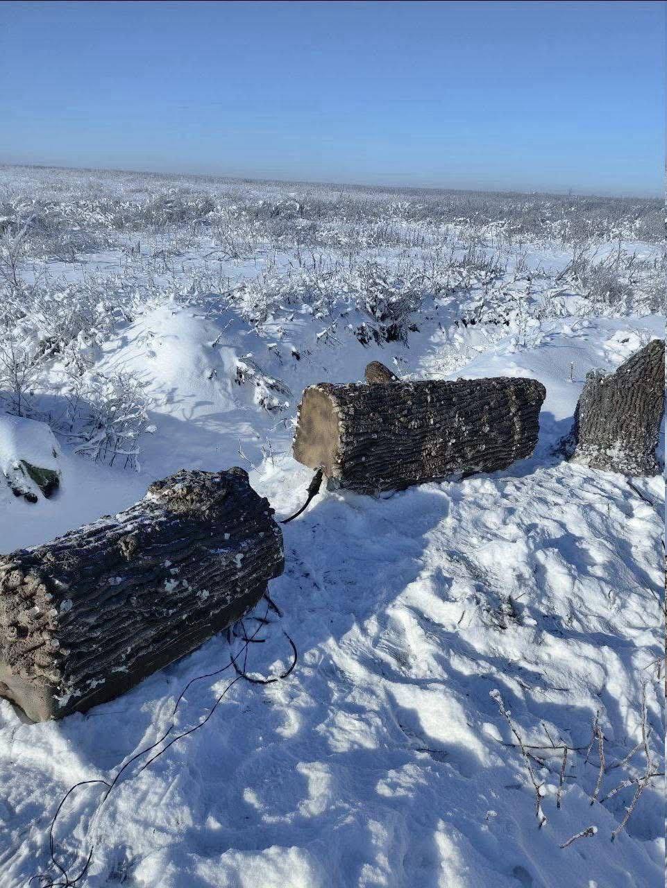 Окупанти почали ховати антени у муляжах стовбурів, щоб врятувати їх від ударів Сил оборони. Фото