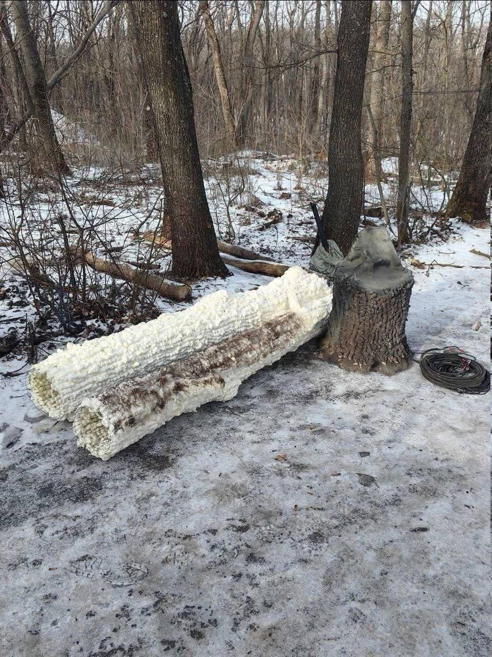 Окупанти почали ховати антени у муляжах стовбурів, щоб врятувати їх від ударів Сил оборони. Фото