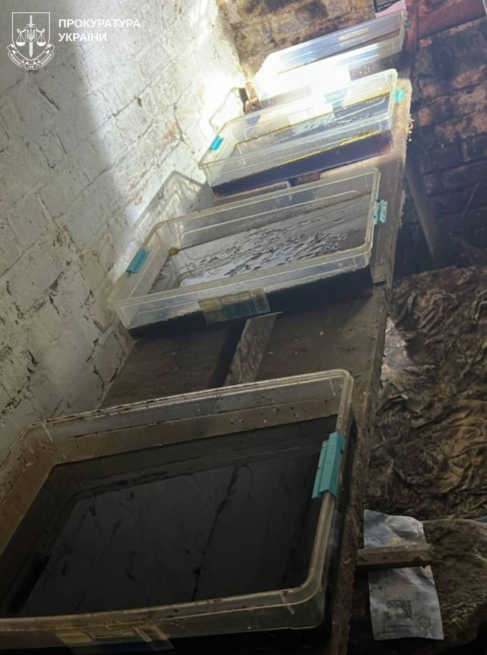 Організували масштабний наркобізнес: у Харкові судитимуть організовану групу на чолі з громадянином Киргизстану. Фото