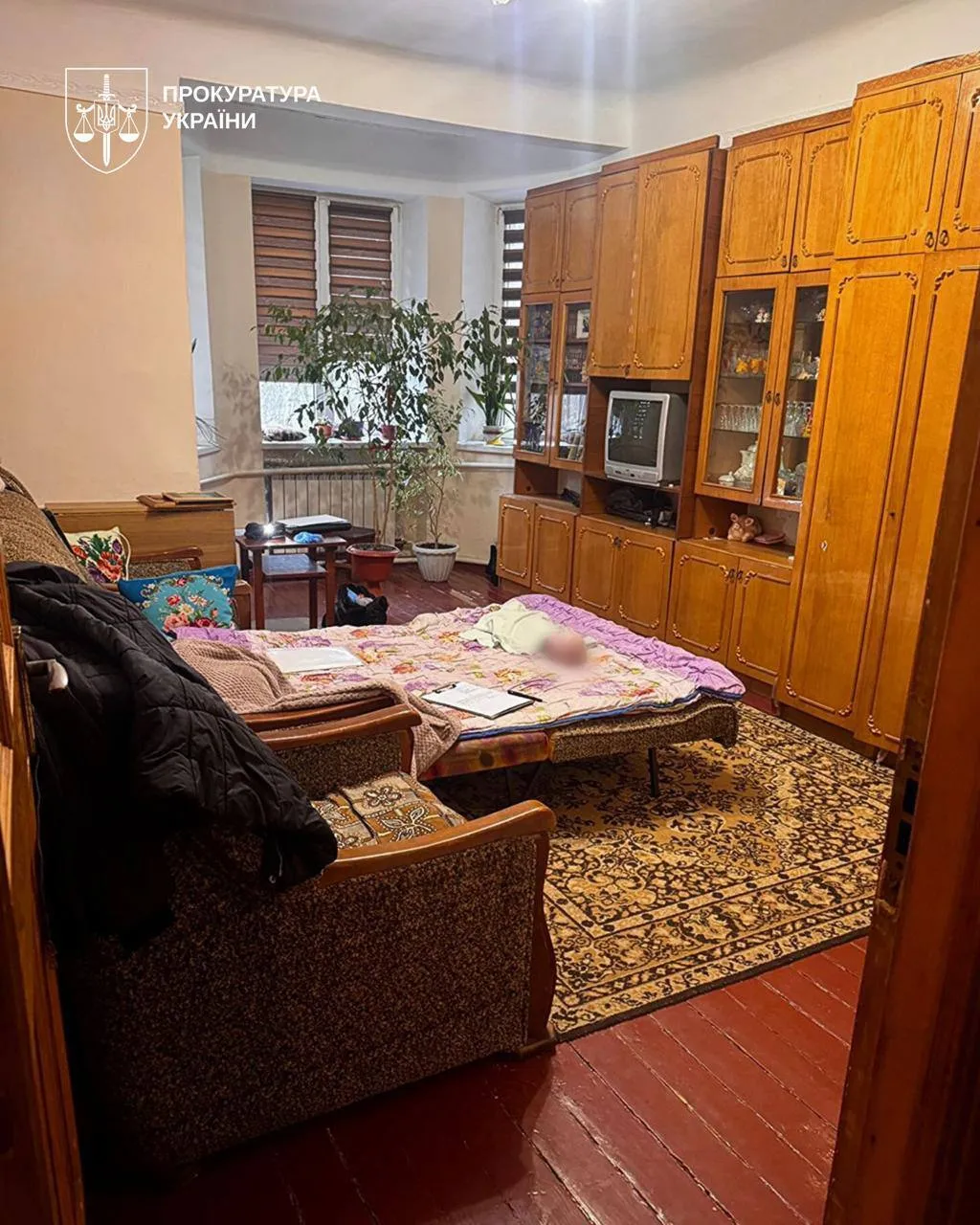 На Прикарпатті помер семимісячний хлопчик: у вбивстві підозрюють 18-річну матір. Фото