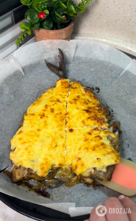 Как вкусно запечь скумбрию под сыром: рецепт блюда на любой случай