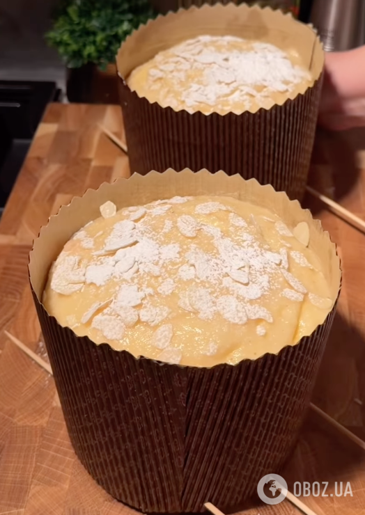 Итальянский паннетоне на Пасху: делимся рецептом вкусной пасхальной выпечки