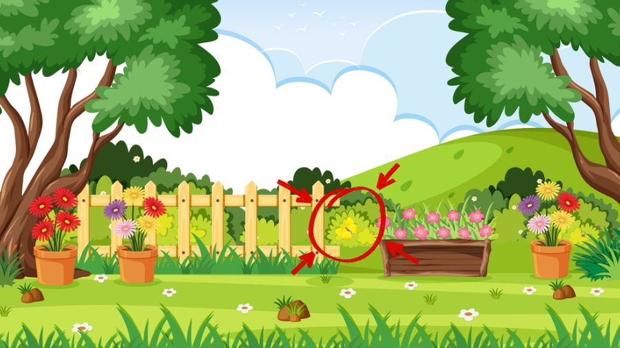 Знайдіть метелика на малюнку: хитра головоломка