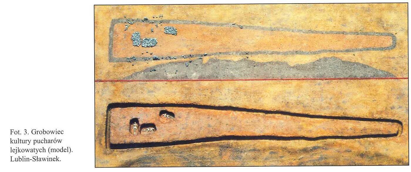 В Польше обнаружили гробницу, которой 6000 лет: это проливает свет на доисторическую Европу. Фото