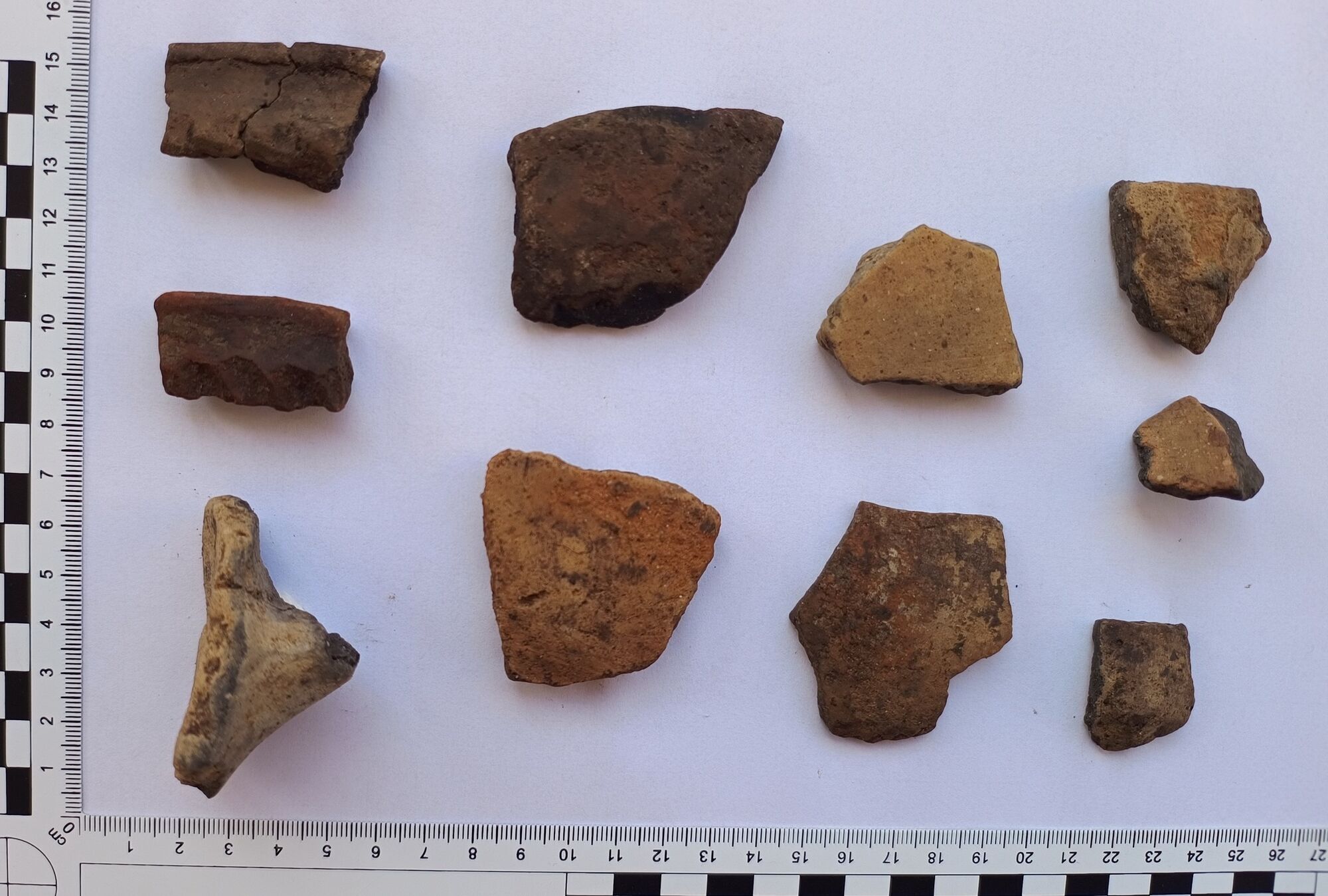 В Польше обнаружили гробницу, которой 6000 лет: это проливает свет на доисторическую Европу. Фото