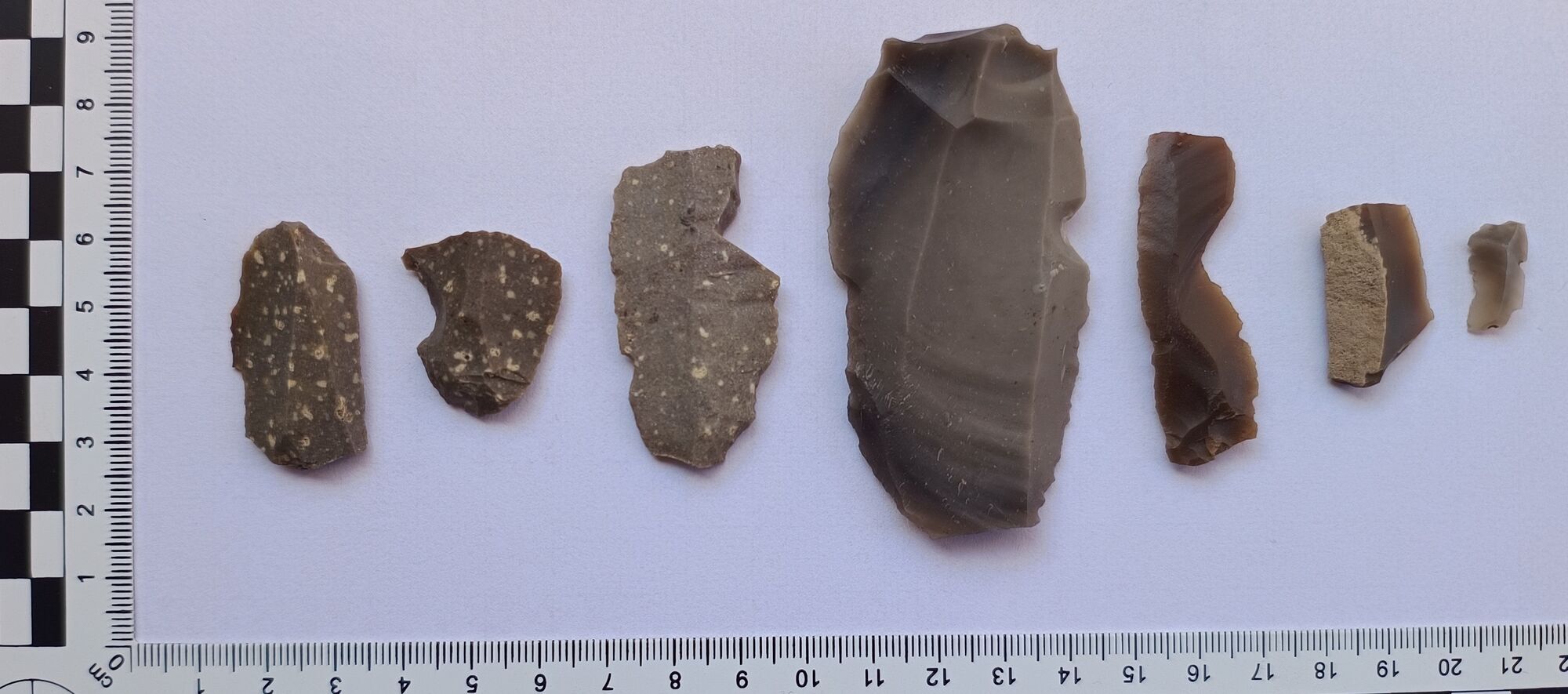 В Польше обнаружили гробницу, которой 6000 лет: это проливает свет на доисторическую Европу. Фото