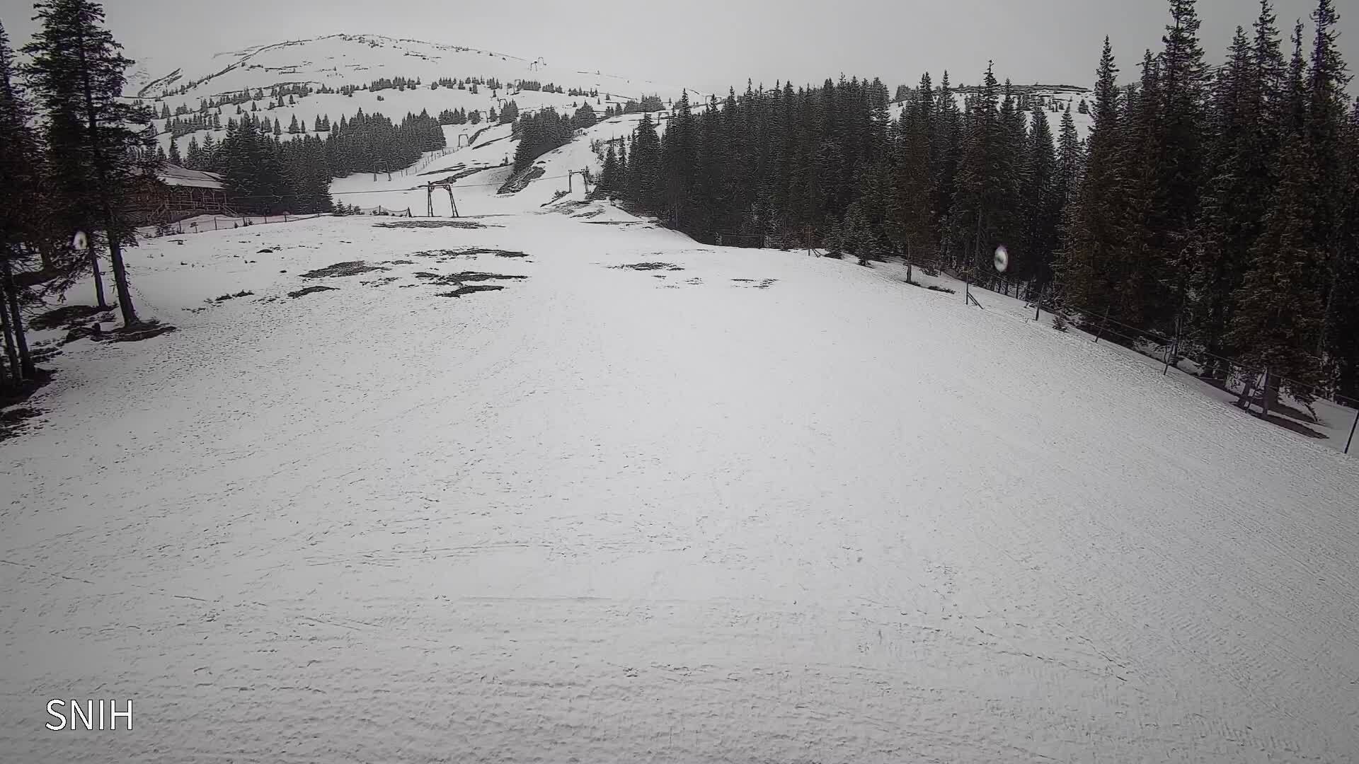 Сніг і мороз: у Карпатах в останній день березня панує зимова погода. Фото