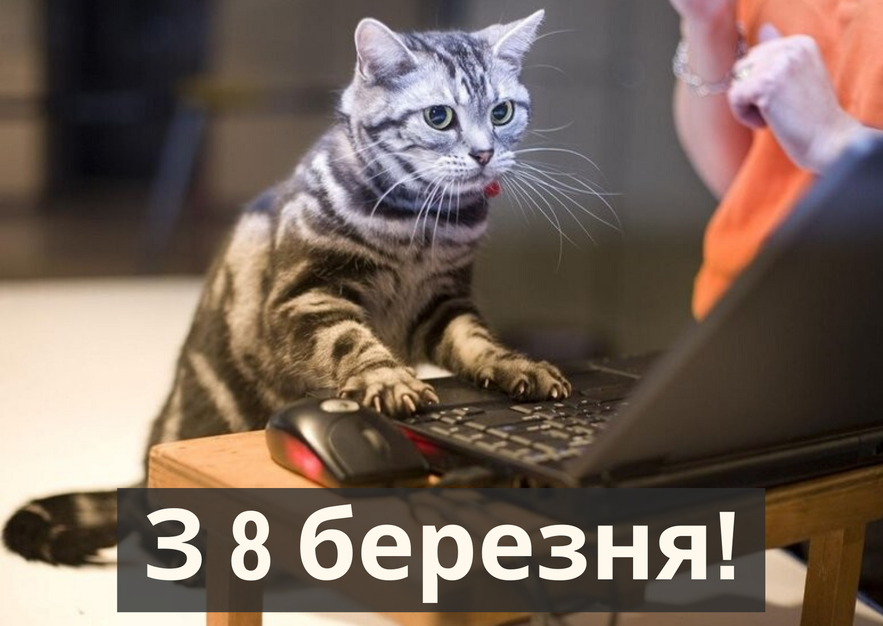 Привітання з Міжнародним жіночим днем для колег: гарні вірші і проза
