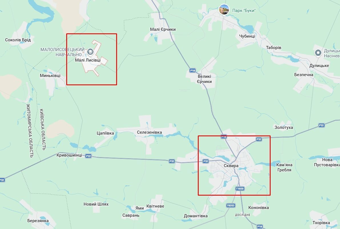 На Київщині легковик протаранив дерево: є загибла. Подробиці ДТП та фото