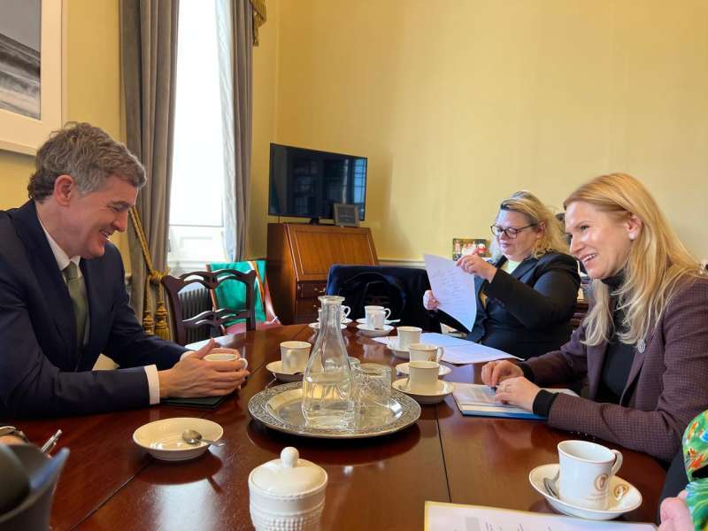 Ирландия поможет Украине со вступлением в ЕС, – Елена Кондратюк