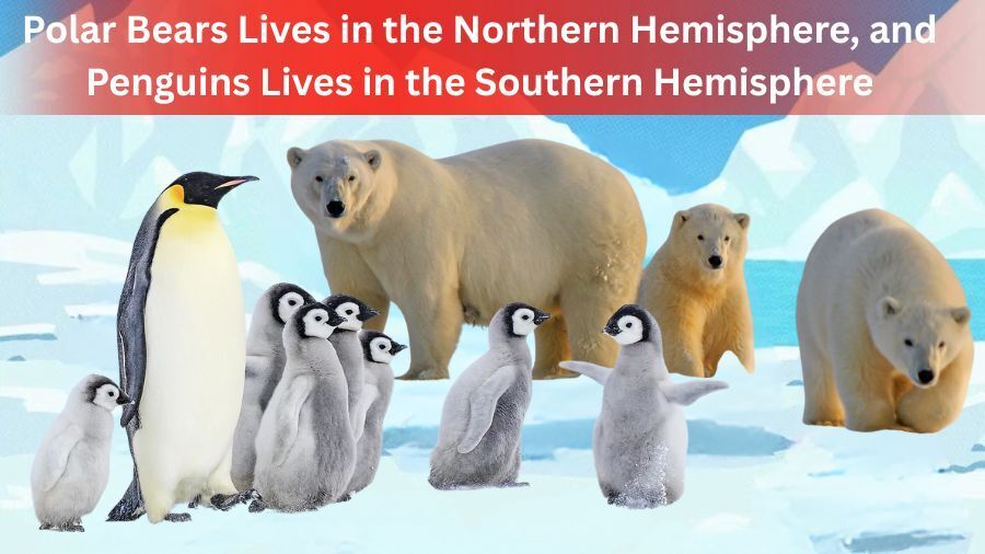 У чому помилка? Тест для найрозумніших