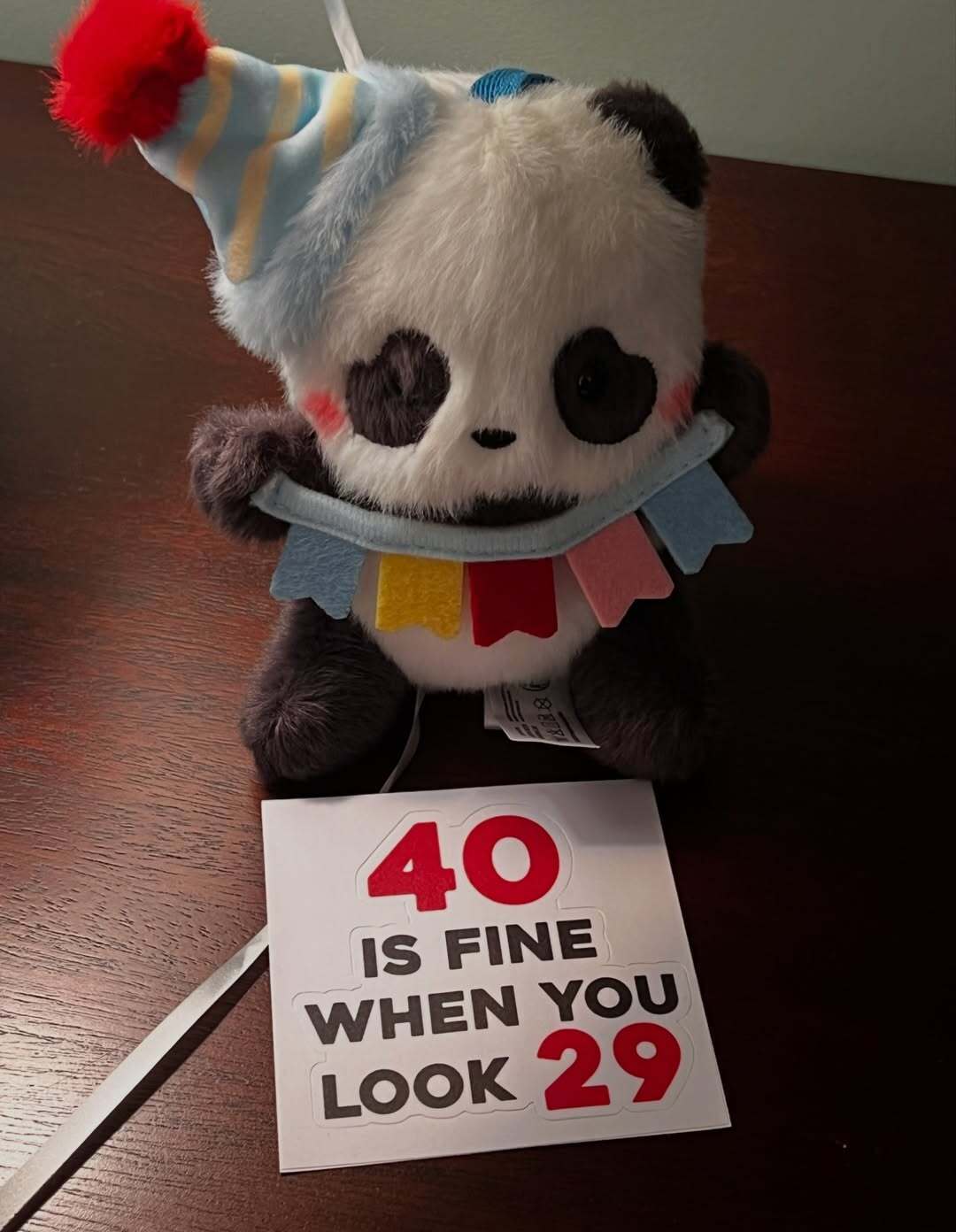 У 40 має вигляд 20-річної: Міка Ньютон показала, як відсвяткувала ювілей за океаном і які подарунки отримала. Фото