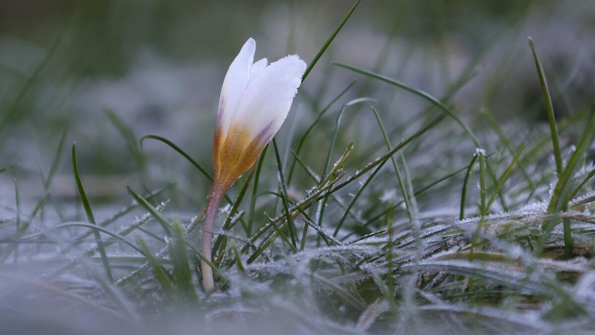В Україну йде теплий антициклон: синоптики сказали, якої погоди очікувати на вихідних. Карта