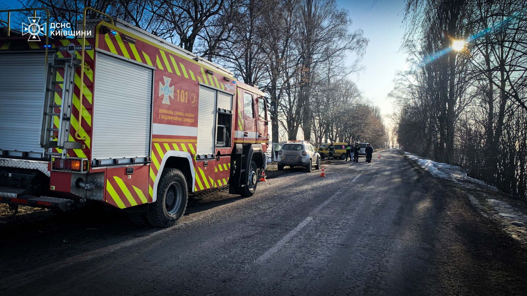 На Київщині легковик протаранив дерево: є загибла. Подробиці ДТП та фото