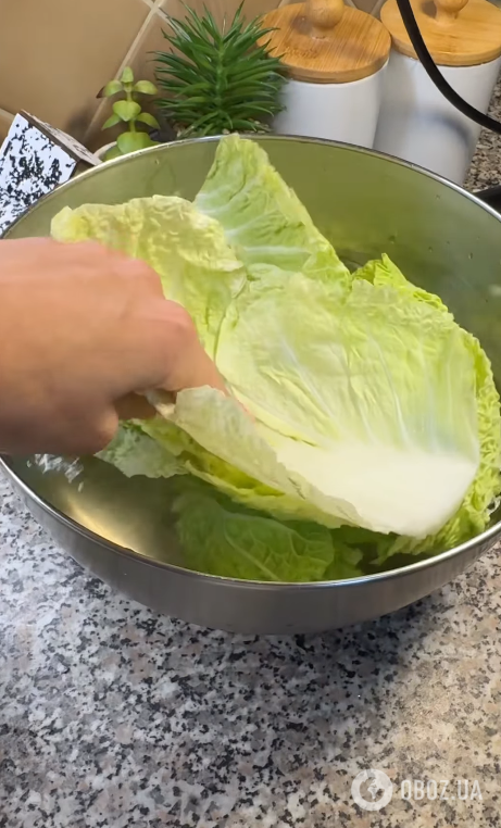 Смачні домашні голубці з пекінської капусти: готуються простіше за класичний варіант